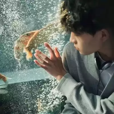 车修洁